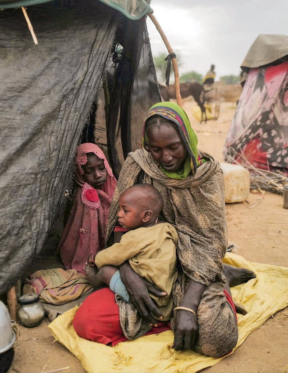 7MohammedKhaled's tweet image. The world sees you "MOM"

We are so sorry 💔😭