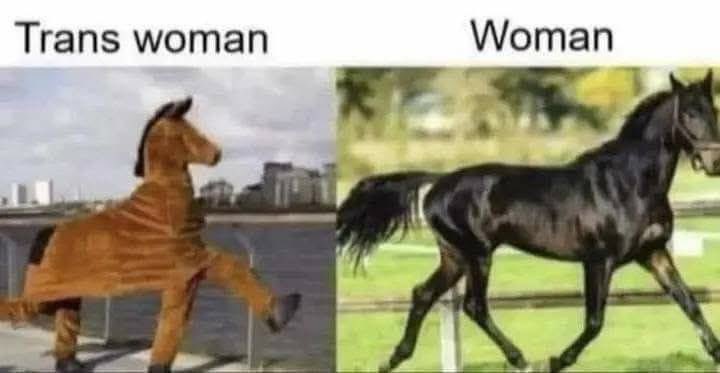 LEGRO's tweet image. 