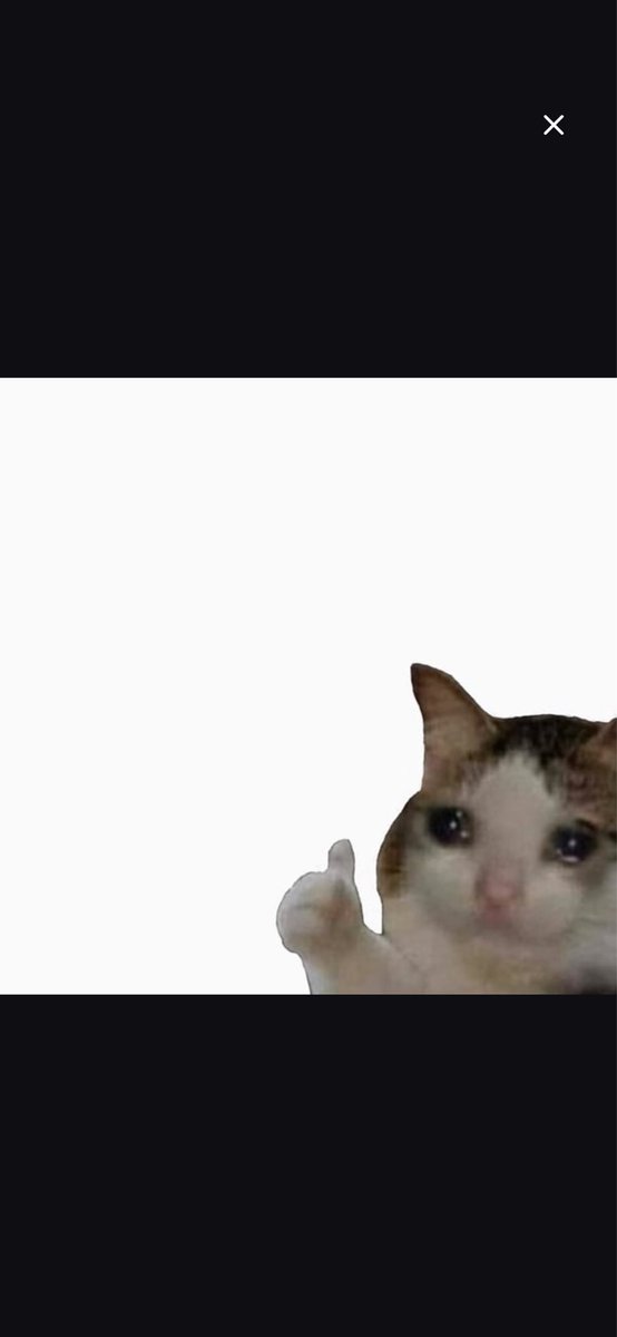 When your partner asks if the investment in crypto is doing ok?