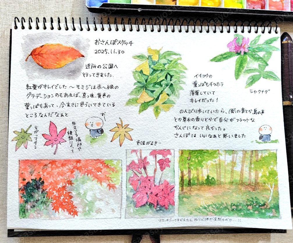 sasasayo3334's tweet photo. 🖌️#おさんぽスケッチ https://t.co/FGQihfNLva