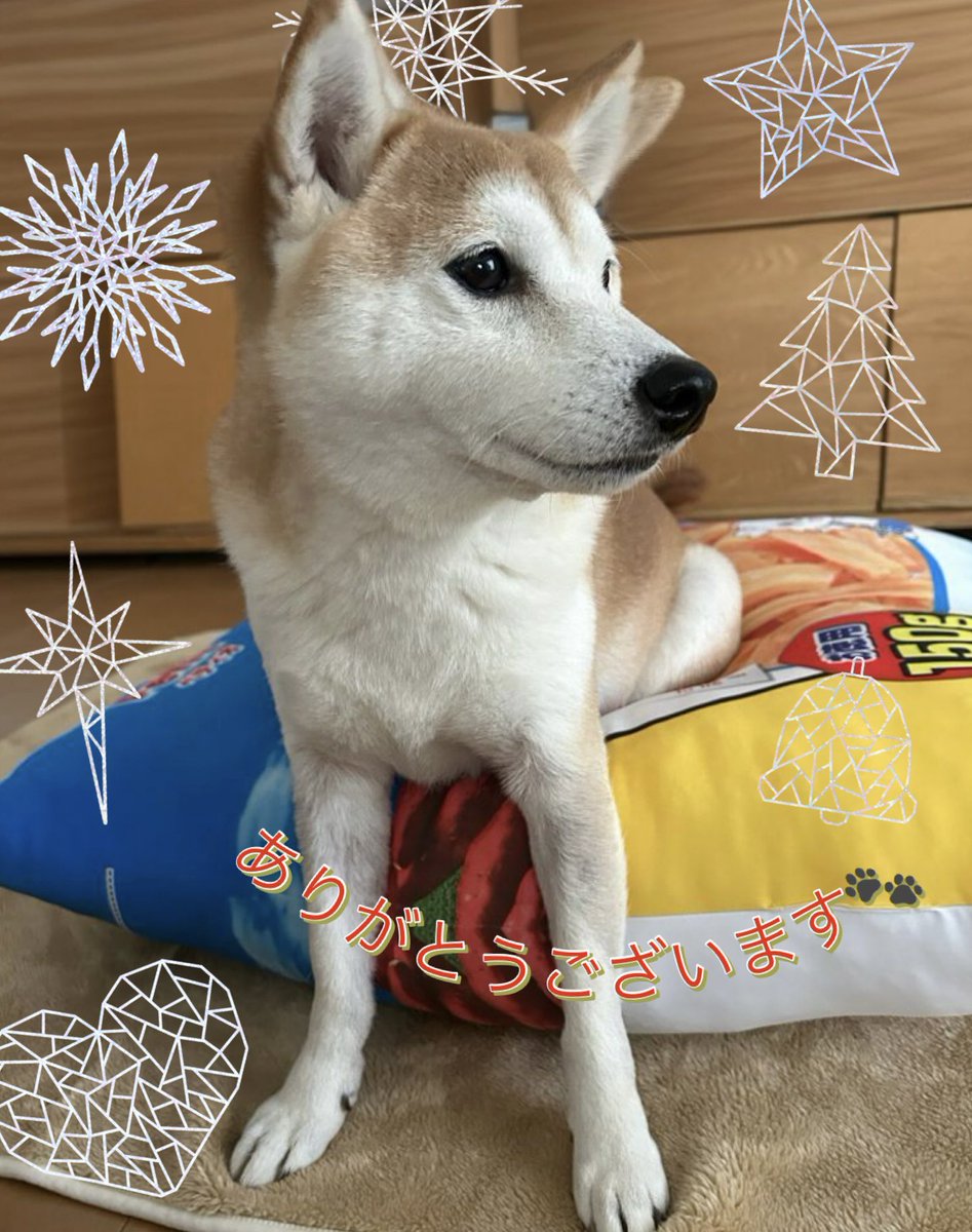 ぽんたページ❣️ ワールドレップサービス fukutan🌼 (@fukutan6) / Posts / X