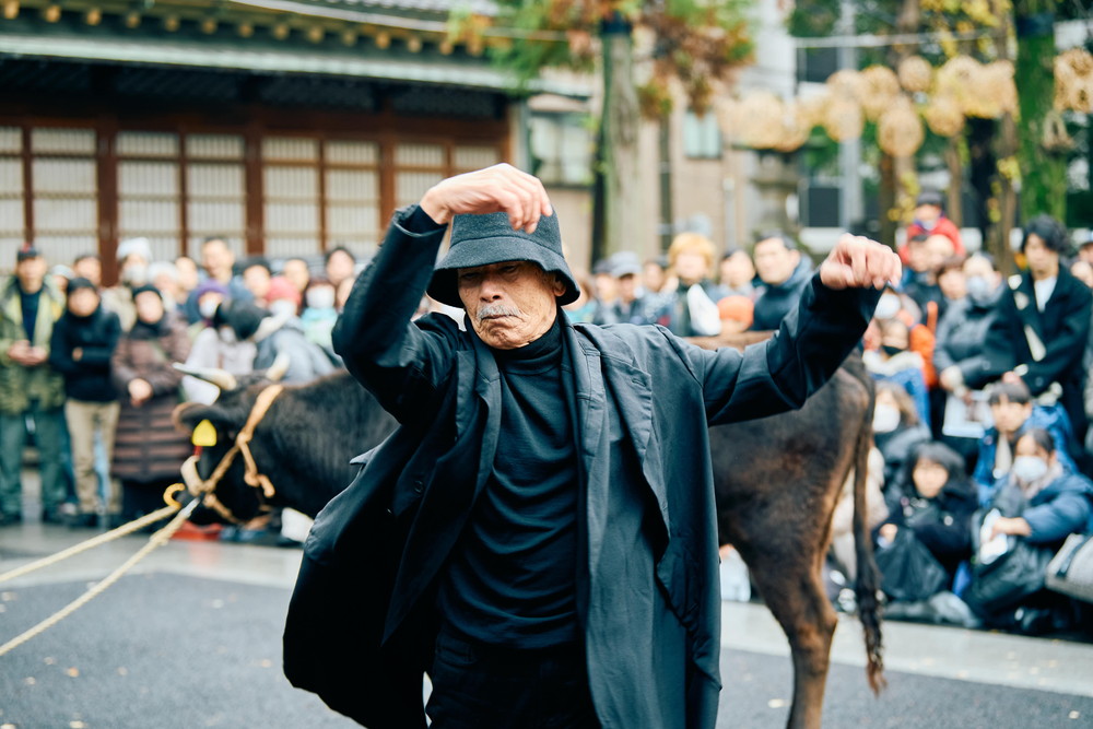 田中泯が踊った「映画公開記念『#黒の牛』特別展覧 ― 牛嶋神社」特別イベント at #牛嶋神社　　
登壇：#リー・カンション、#田中泯、#蔦哲一朗監督 牛の「#ふくよ」　
eigajoho.com/archives/299303
