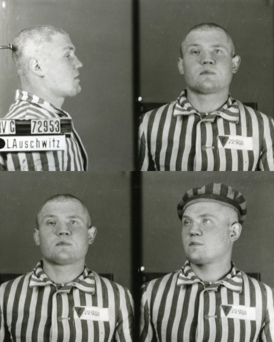 Auschwitz Exhibition tweet media