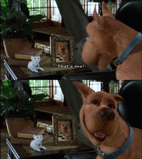 TheCinesthetic's tweet image. 