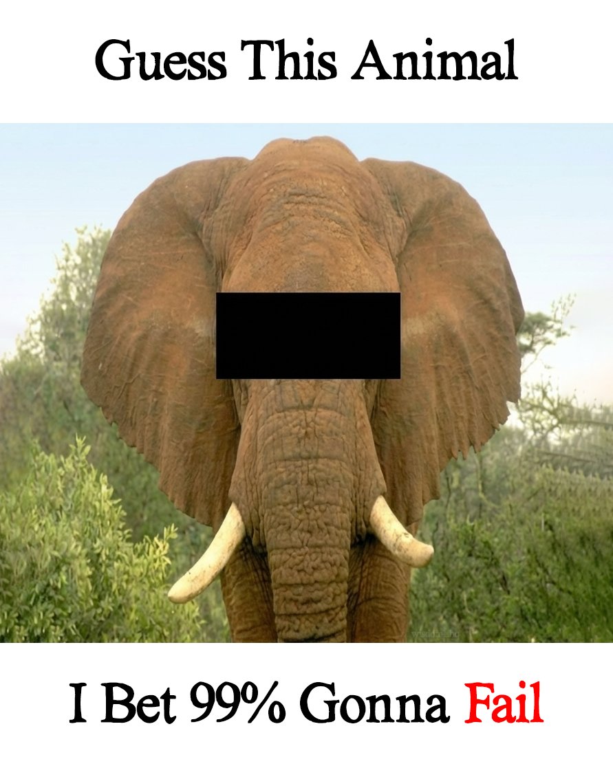 Chimex_Thread's tweet image. 