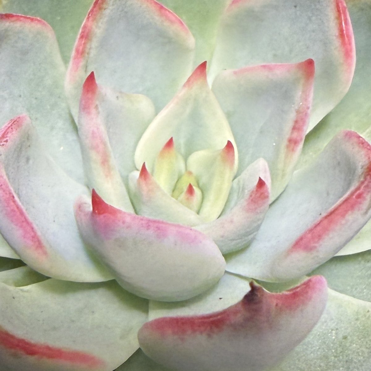 TOMOZOO (@TOMOZOO56496590) / Posts / X