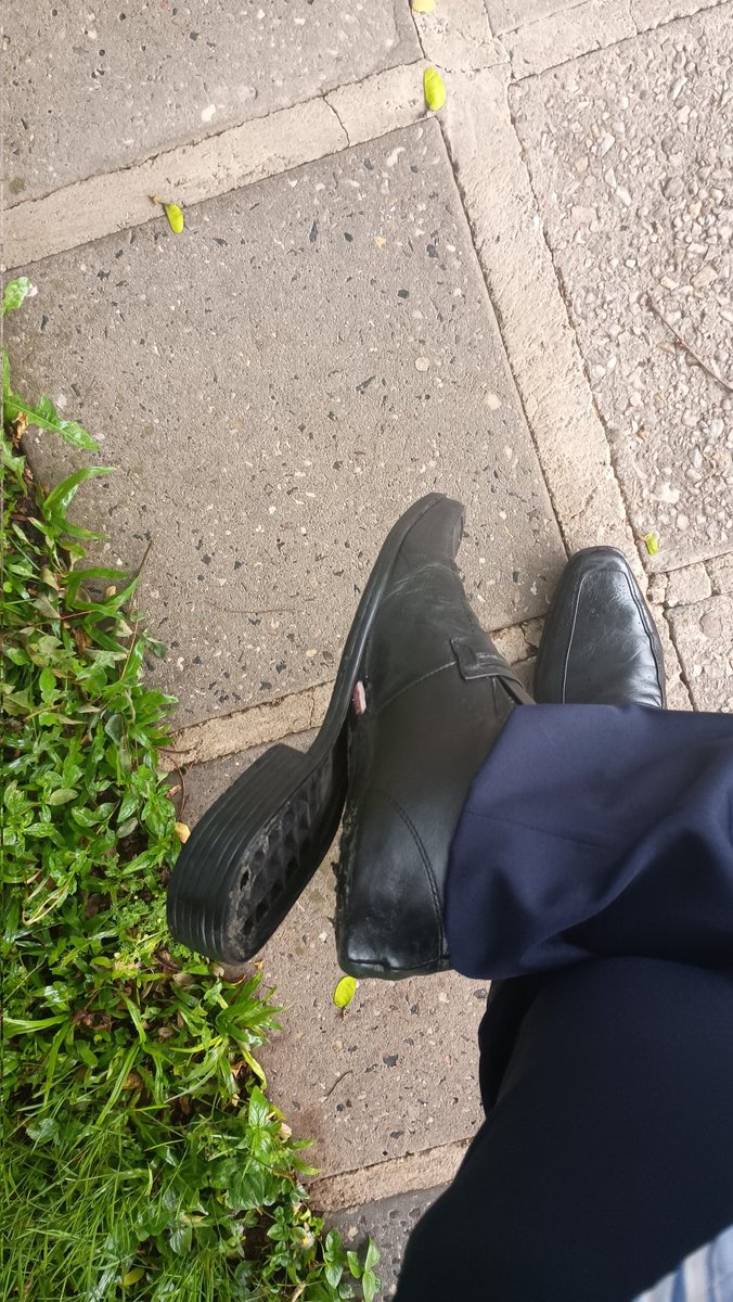 Carlos no MP tweet media