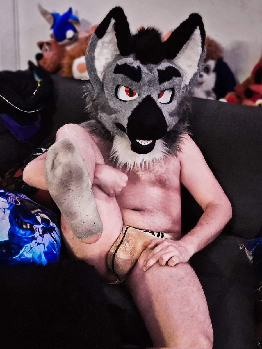 ₦Ɇ₩฿ØⱤ₦ ₵Ɏ₳₦łĐ𝟯 🐺☠️ tweet media