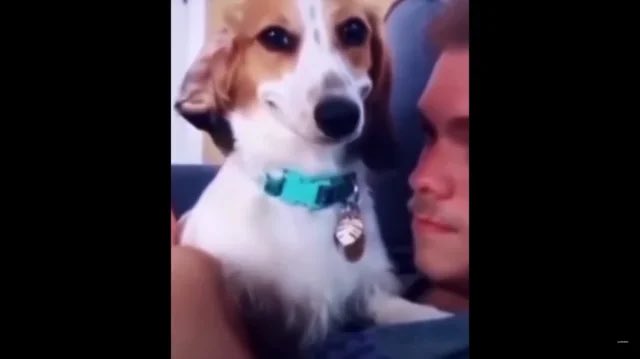 XandersOkay tweet media