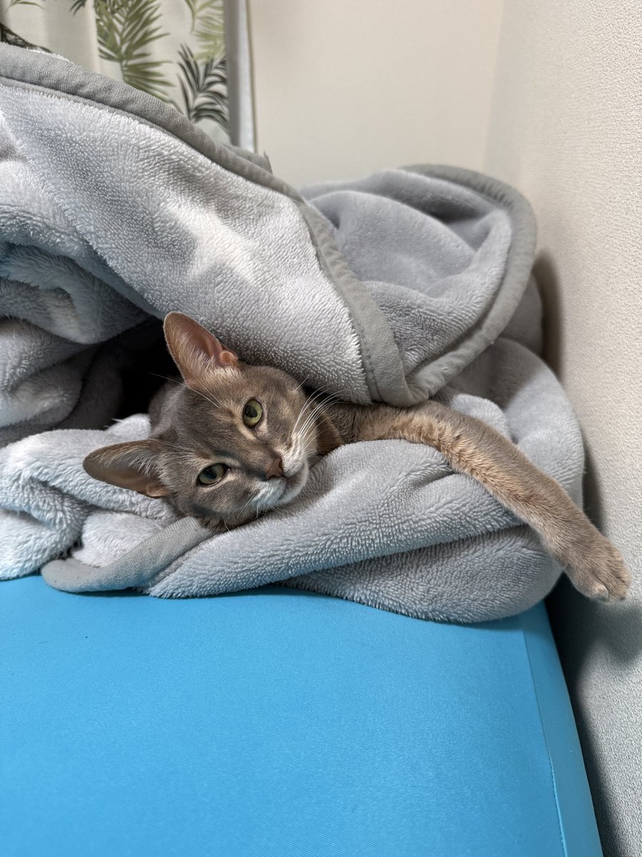 負動産は新翔へ🌼家族の悩み引き取ります (@shinshow0616) / Posts and