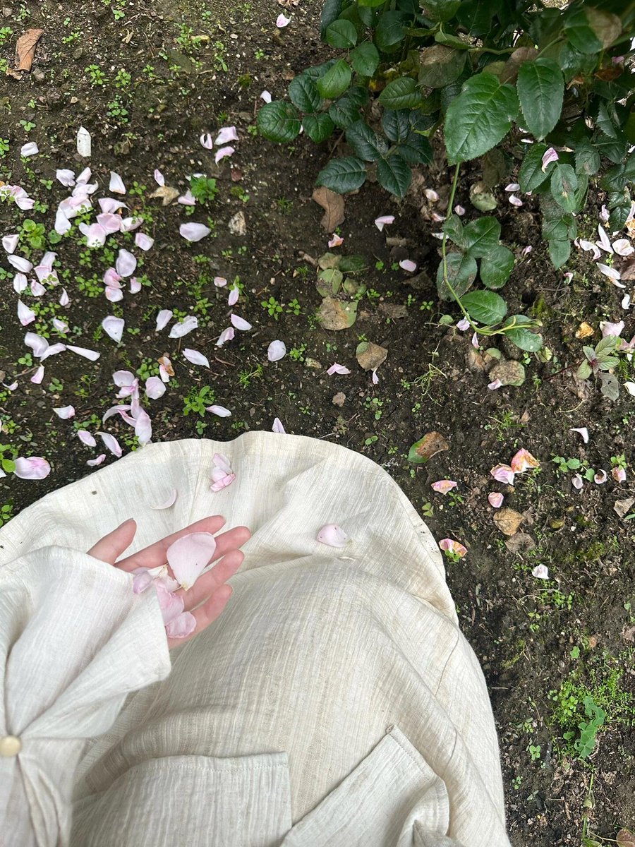 Hazel_h229's tweet photo. 🌼 Embrace the beauty of simplicity as you take a moment to appreciate the little things in life.#MorningVibes #NatureLovers #Mindfulness https://t.co/9Me9chenRW