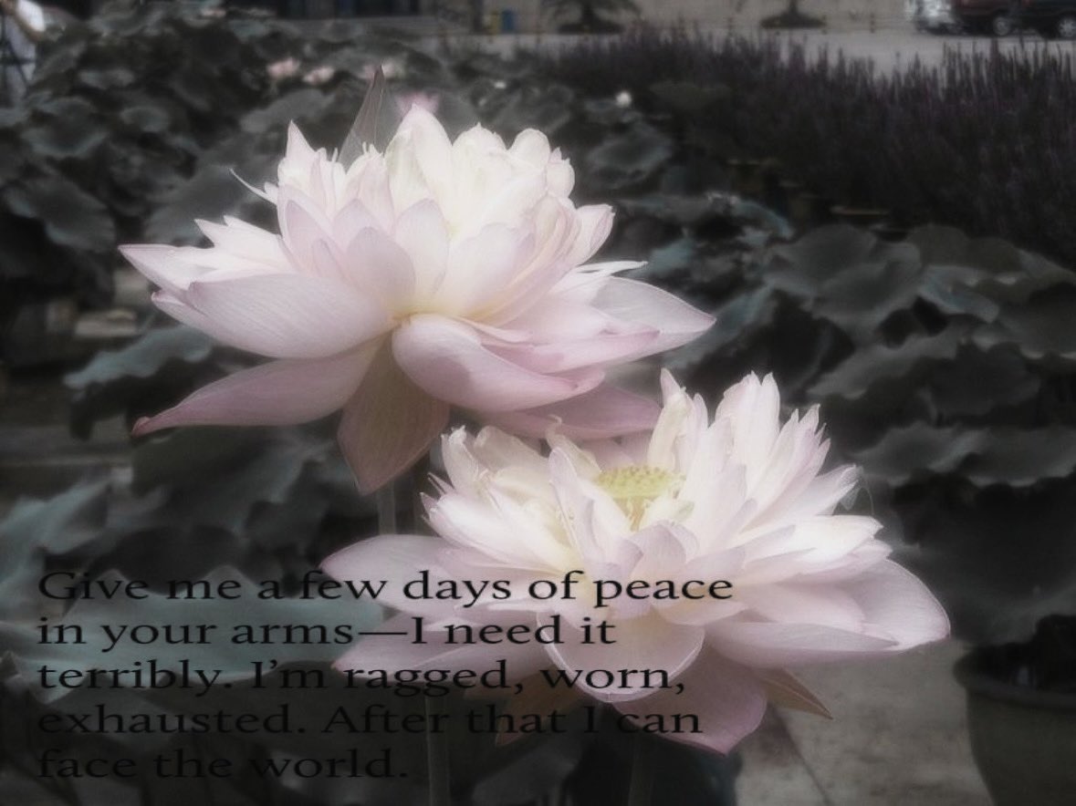 bfblight's tweet image. 🦢♥︎　　﹕　i’ll forever keep you in my locket.