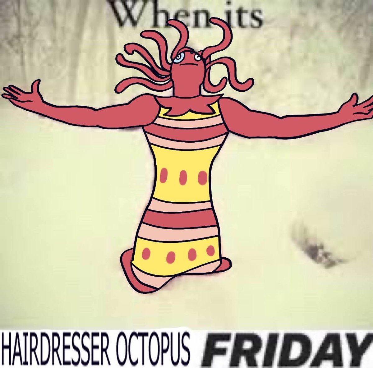 when its hairdresser octopus friday tweet media