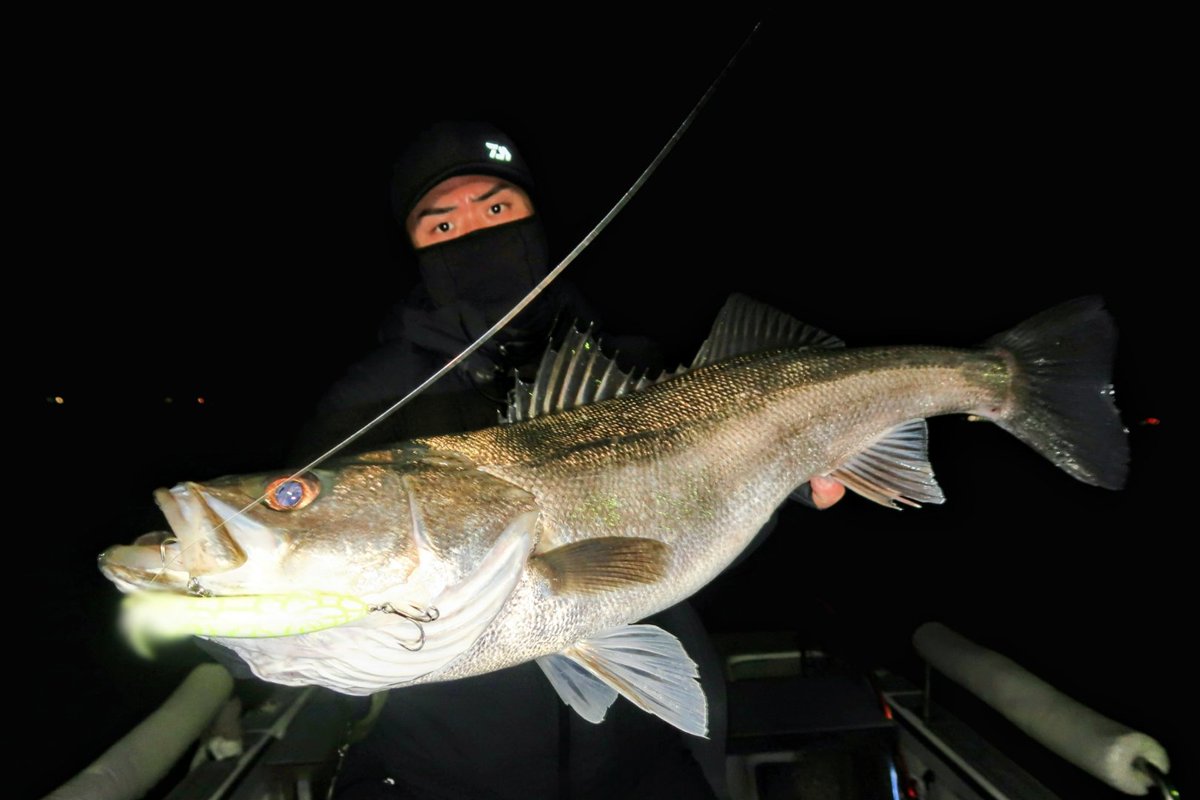 GONZO＠（hayaken) (@GONZOUDAIWA) / Posts / X