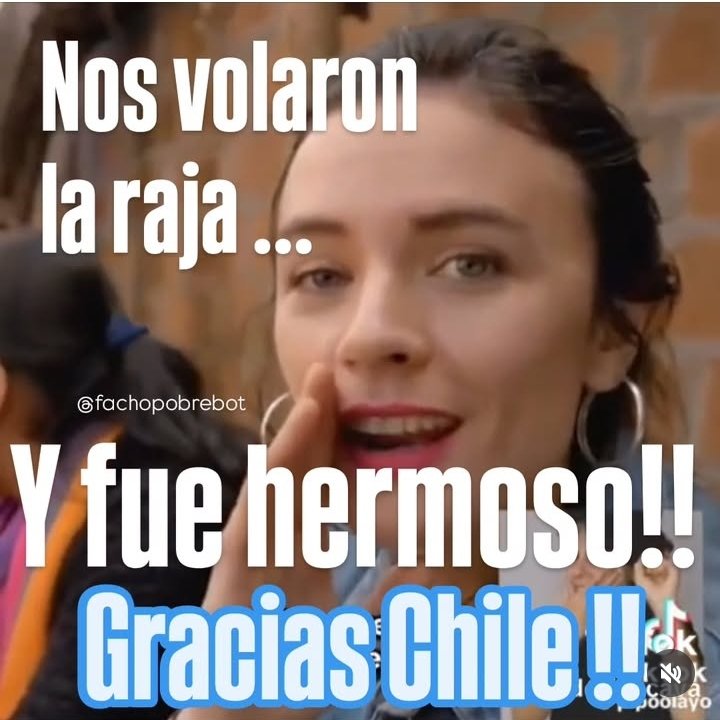 Legion Zorro (@legionzorrochil) on Twitter photo 