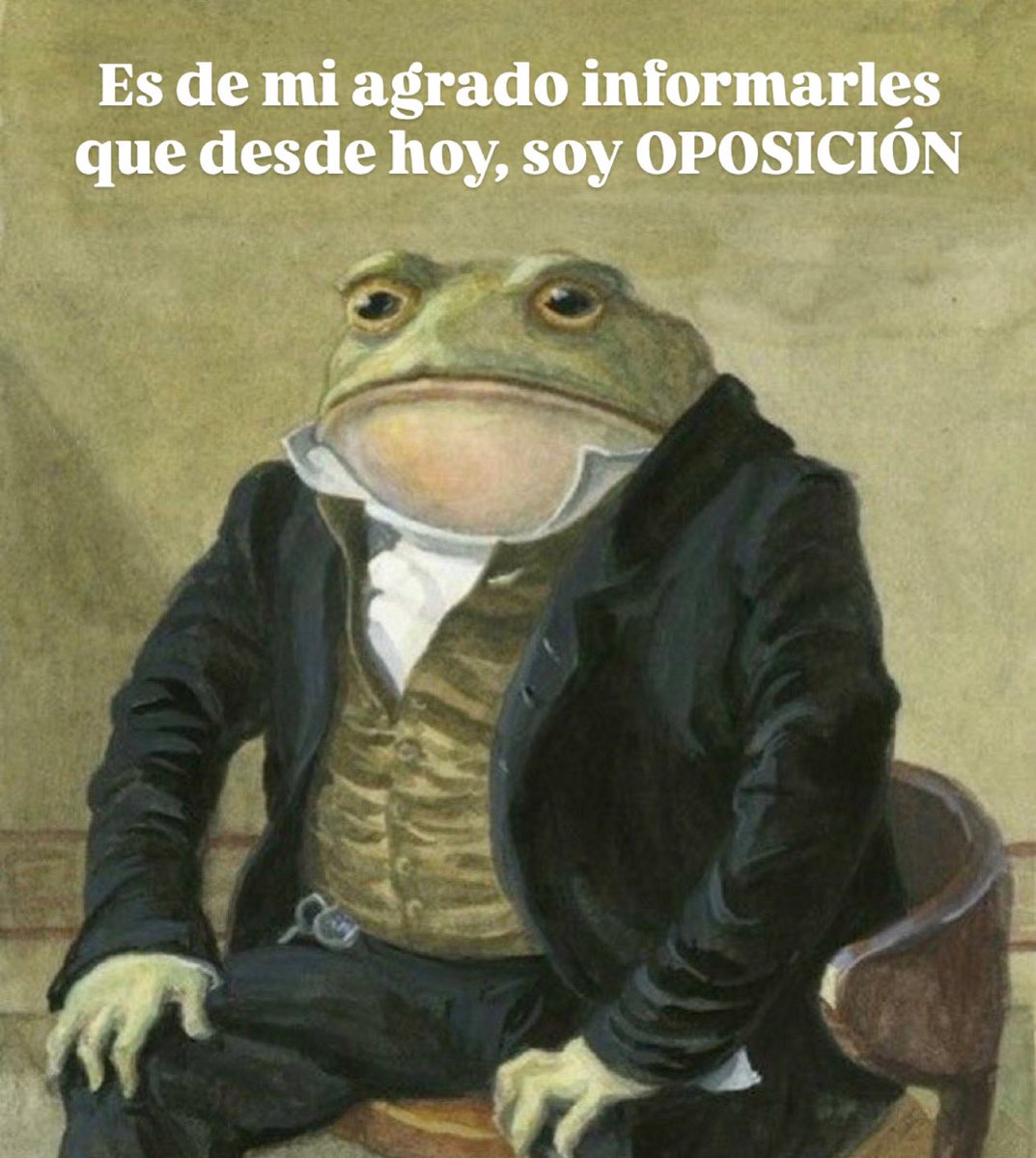 #Elecciones2025 😫