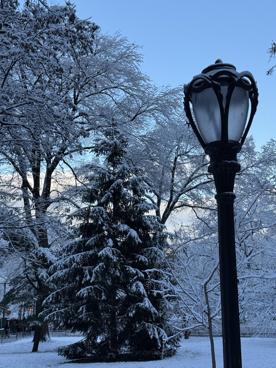 Plamen_Novakov's tweet photo. We had intermittent snow and freezing rain last night and it was also very windy so everything crystallized onto the branches of the @CentralParkNYC trees. It was as if the White Witch from Narnia had been twirling her wand around like a baton at a Macy’s Thanksgiving Day parade! https://t.co/CQSKIa2Fww