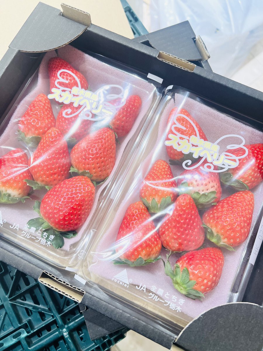 光 ～八百屋のお兄さん21年目突入～ (@neko0v0hentai) / Posts / X