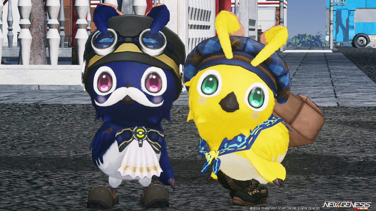 久しぶりにSowさんの配信におじゃましましたっきゅ♪
面白いコーデを見ながらちょっとだけ参加したり久しぶりのフレにも会えて楽しめましたきゅ♪🐤
#PSO2NGS