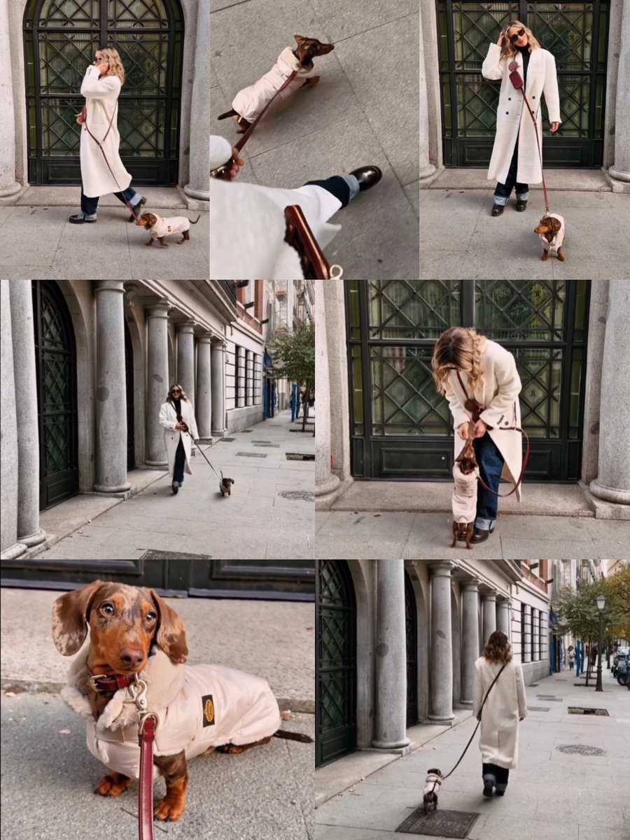 🐾🐶Mamá Perruna🐶🐾
🤎🦴Más que un título, es un estilo de Vida.
#TeamPorta 🌬️🤍🍋 #CrisPorta15D