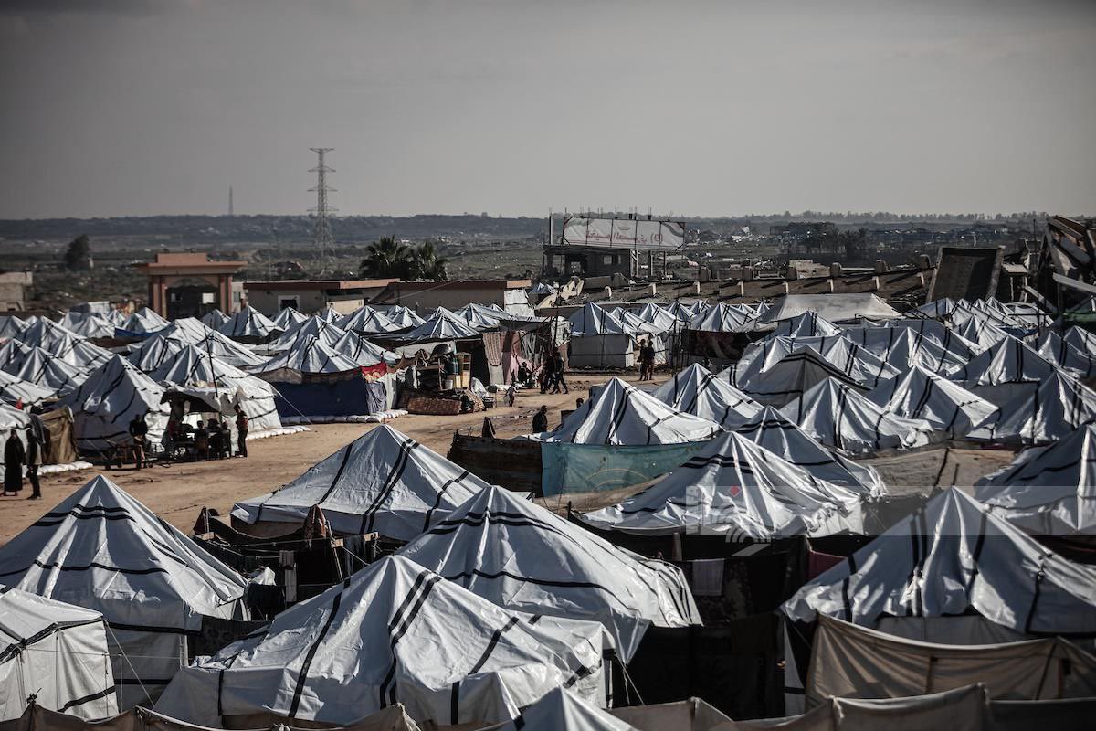 TIMES OF GAZA tweet media