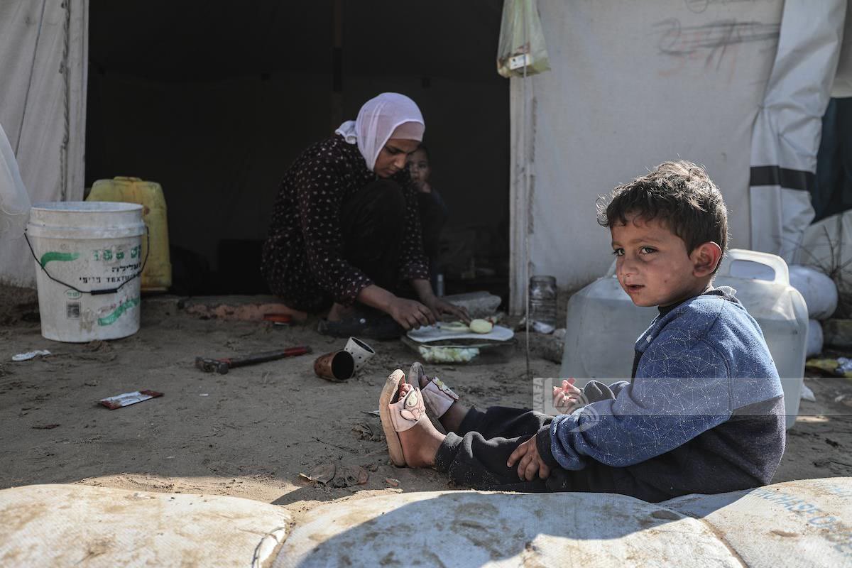 TIMES OF GAZA tweet media