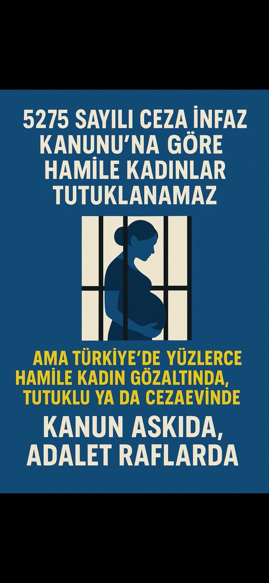 <a href="/gergerliogluof/">Ömer Faruk Gergerlioğlu</a> Hamile kadınlar, bebekli anneler kanunda yasak olmasına rağmen Türkiye yüzyılında hapsediliyorlar