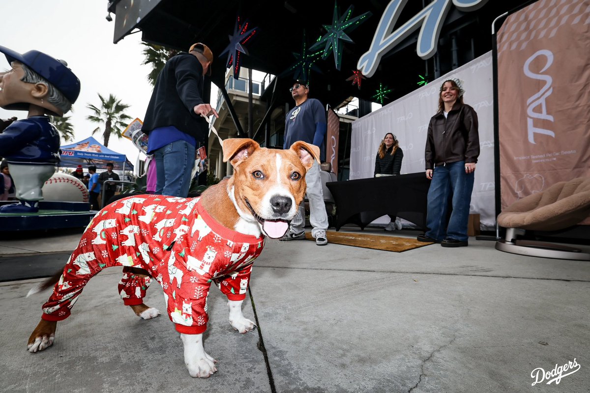 Los Angeles Dodgers (@Dodgers) / Posts / X