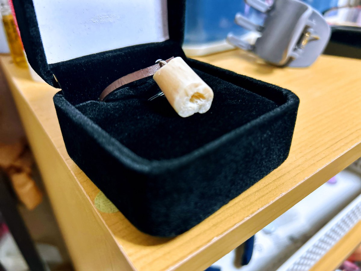 昨日は悪の秘密結社・「性別」破壊党の第二回党大会でした🏴‍☠️

前回のゲストは女傑塾の仲岡弁護士でしたが、今回はラミー教の教祖。

阿部党首とラミー氏の理想の社会は正反対だけれど、喧嘩にならないのが素敵👯‍♀️

「性別」破壊党は過激派組織の様に見えて、乗っ取り歓迎、スパイもいる面白い団体です💮