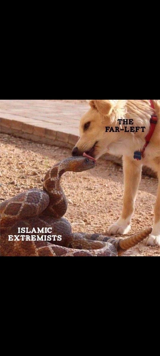 Patelindianlion's tweet image. Cancer 
👇