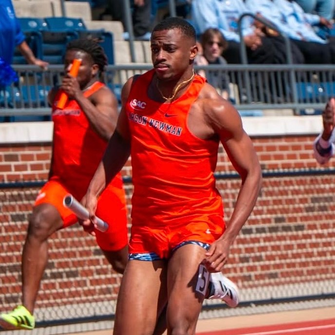 NaturalCal tweet media