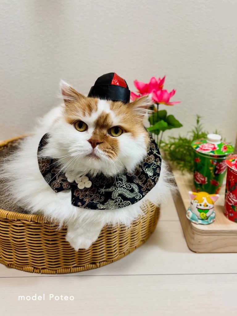 伸びた伸びないは置いといて2025年自身が思う力作 チャイナneco neco