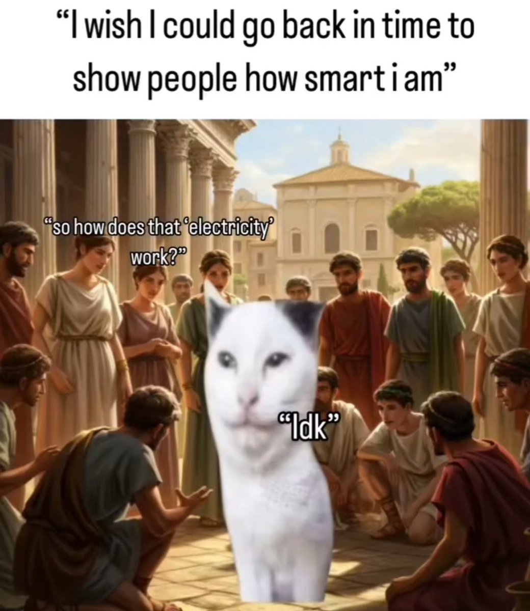 Catsillyness's tweet photo. https://t.co/UJjUEffH9y