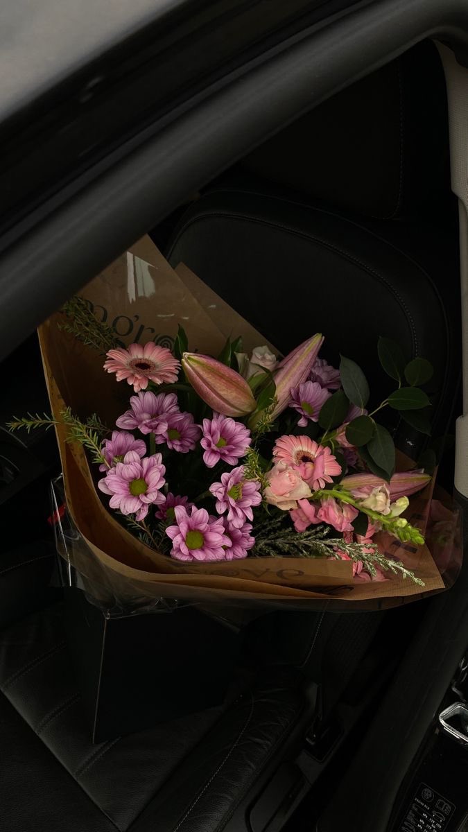 Butterflless's tweet image. 