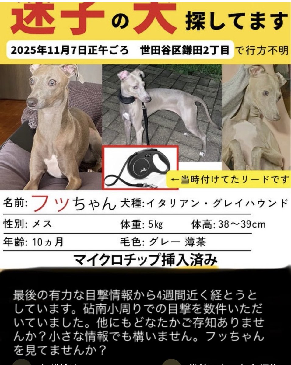 めるも「ボク うぃん、弟はエア 妹はエイル よろしくね