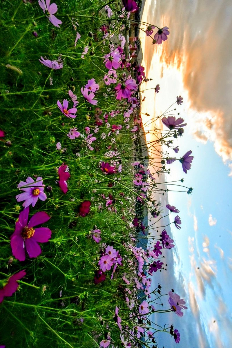沢山詰まった夏の思い出が
見渡せる場所で
冷たい風を吸い込んだ

山の頂上なのに
波の音が聞こえてきそうだ

あの日の涙も拭えないまま
夏から冬へと季節だけが移ろう

僕が見てきた大好きな景色
全部君に見せたかったな

君の騒がしい声が聞こえる浜辺
そこは今の僕にとって
あの青い空より遠い場所