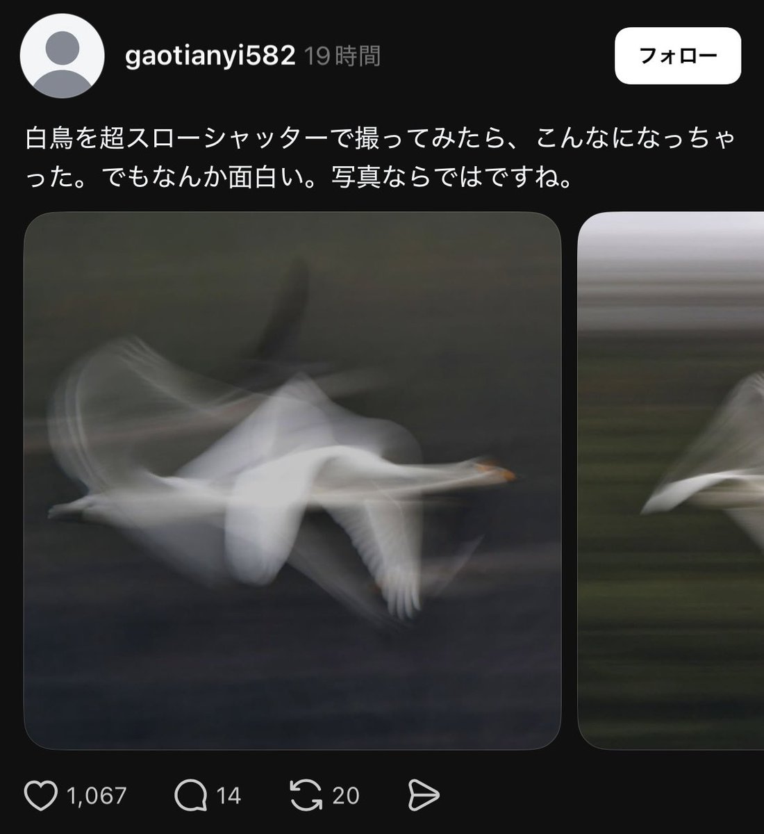 ミンティ (@mintie_dyno) / Posts / X