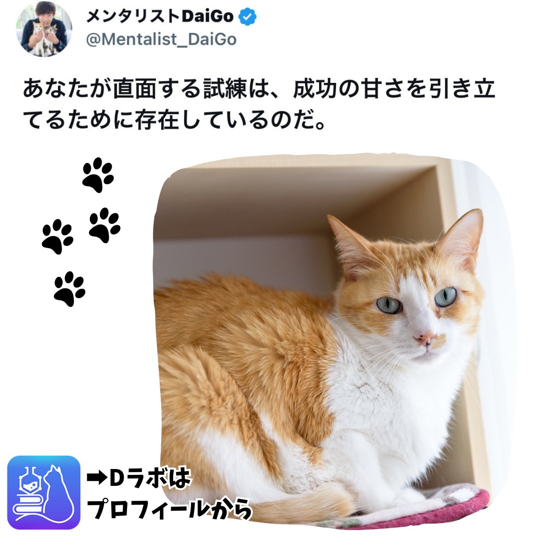 メンタリストDaiGo (@Mentalist_DaiGo) / Highlights / X