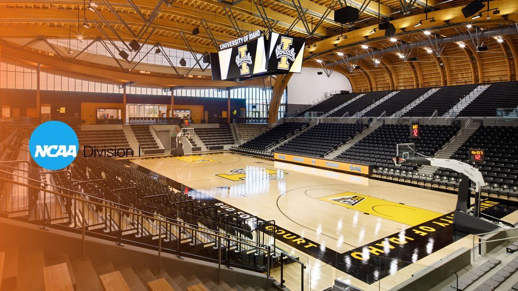 Expo Hoops tweet media