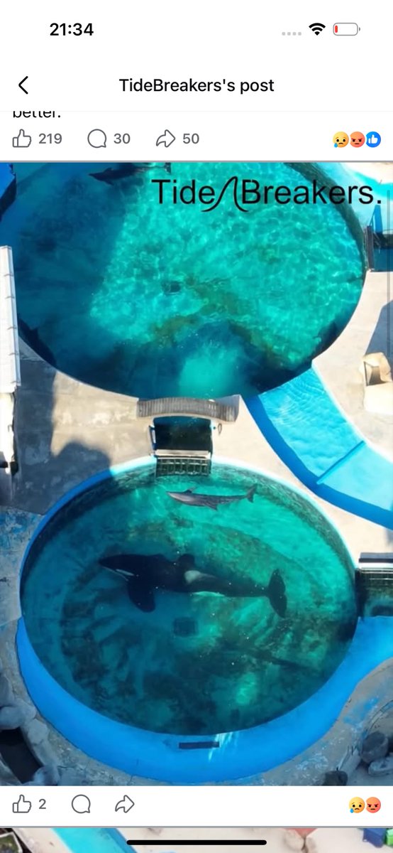 Yvonne Hooper tweet media