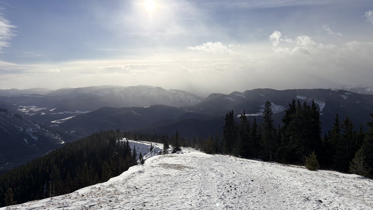 Tim Criddle tweet media