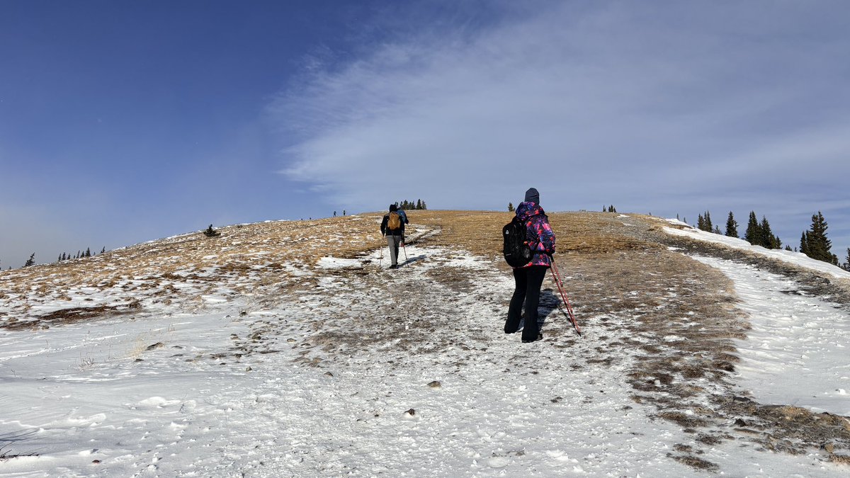 Tim Criddle tweet media