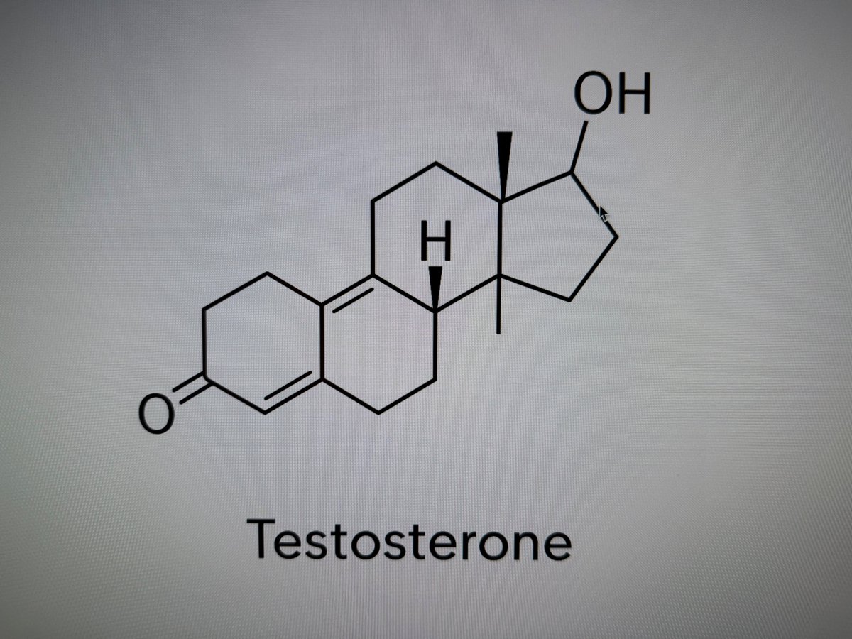 CaptMarkoR's tweet photo. MAAS-11.1
#MarkoAASGuide
#CycleFromStartToFinish #TRTPrep #PEDLongevity
Testosterone: The OG, naturally occurring AAS (the “base plate”) – PART 1
Ok… you wanted it, so here we go. I warned you the Testosterone posts take multiple parts — because this molecule is basically the foundation of the whole AAS universe. It's the GOAT.
Also: I’m NOT a scientist or a medical professional. I’m the guy trying to translate biology into something your AAS Goblin brain can actually use, with risk reduction being the whole intent.
Now… let’s talk about the fundamental naturally occurring anabolic-androgenic steroid in the human body: TESTOSTERONE.
1) Testosterone isn’t “a male hormone.” It’s a human hormone.
Yes, testosterone is the headline hormone for male physiology — but it exists in both males and females, and it matters in both.
Here’s the part that melts people’s brains: in females, testosterone is the most abundant circulating active sex steroid across the lifespan. And it can be 5–50x more abundant than estradiol depending on life stage.
So, if someone says “women don’t have testosterone,” they’re telling you they learned endocrinology from a comment section.
“But chicks ain’t got no nads!” you say: Women DO produce testosterone, primarily from two sources:
The ovaries (which produce a significant portion, often around 25–50% of circulating testosterone, depending on the source and measurement method).
The adrenal glands (which contribute directly in small amounts but also produce precursors like DHEA and androstenedione that are converted to testosterone in peripheral tissues).
2) What is testosterone, chemically?
Testosterone is a C19 steroid (androgen) built on the classic steroid backbone — those famous four carbon rings.
In chemistry terms, androgens are built on an androstane skeleton and testosterone is the primary natural androgen (with the typical Δ4-3-keto and 17β-hydroxyl features).
If you want the “label on the bottle” version: testosterone’s chemical formula is C₁₉H₂₈O₂, and you’ll see it referred to as 17β-hydroxy-4-androsten-3-one.
3) Testosterone is the base structure for basically every AAS you’ve heard of.
This is the “epiphany” moment: look at testosterone… then look at tren, dbol, primo, mast… and realize they’re all the same steroid Lego set, just with different pieces clipped on.
EVERY AAS is a derivative of the human testosterone molecule.
That doesn’t mean “they’re all the same.” It means the core skeleton is the same, and the “feel” (and risk profile) changes because chemists tweak how the molecule behaves: receptor binding, aromatization, reduction to DHT-like effects, metabolism speed, etc.
4) Testosterone is both a hormone AND a “parent molecule”
In males, testosterone is produced by Leydig cells in the testes. It binds the androgen receptor (AR) like a proper hormone… but it also acts like a parent compound that can be converted into other powerful hormones in tissues.
Two famous conversions:
Testosterone → DHT (via 5α-reductase): a “pure AR” androgen vibe
Testosterone → Estradiol (E2) (via aromatase): not “the enemy,” but a real physiological player
Translation: testosterone isn’t just “the king.” It’s also the fork in the road to other major biological effects.
5) Why we call it an AAS (even when it’s natural)
“AAS” is short for Anabolic-Androgenic Steroid.
Anabolic = supports muscle protein building (and recovery, and tissue adaptation)
Androgenic = supports “male-pattern” traits (voice, hair, libido, etc.)
Testosterone is highly anabolic and androgenic in the real world.
But don’t get it twisted: testosterone isn’t a magic spell that overrides bio-chemistry. If your training is trash and your diet is Doritos + Vapes, your “anabolism” is going to build… nothing.
Uncle Marko takeaway:
Testosterone is the most important naturally occurring AAS in the human body, present in both sexes, and it’s the molecular base plate that the entire synthetic AAS world is built on.
Next post we go into: How humans first isolated it, synthesized it, and why a Nobel Prize got dropped into the chat.