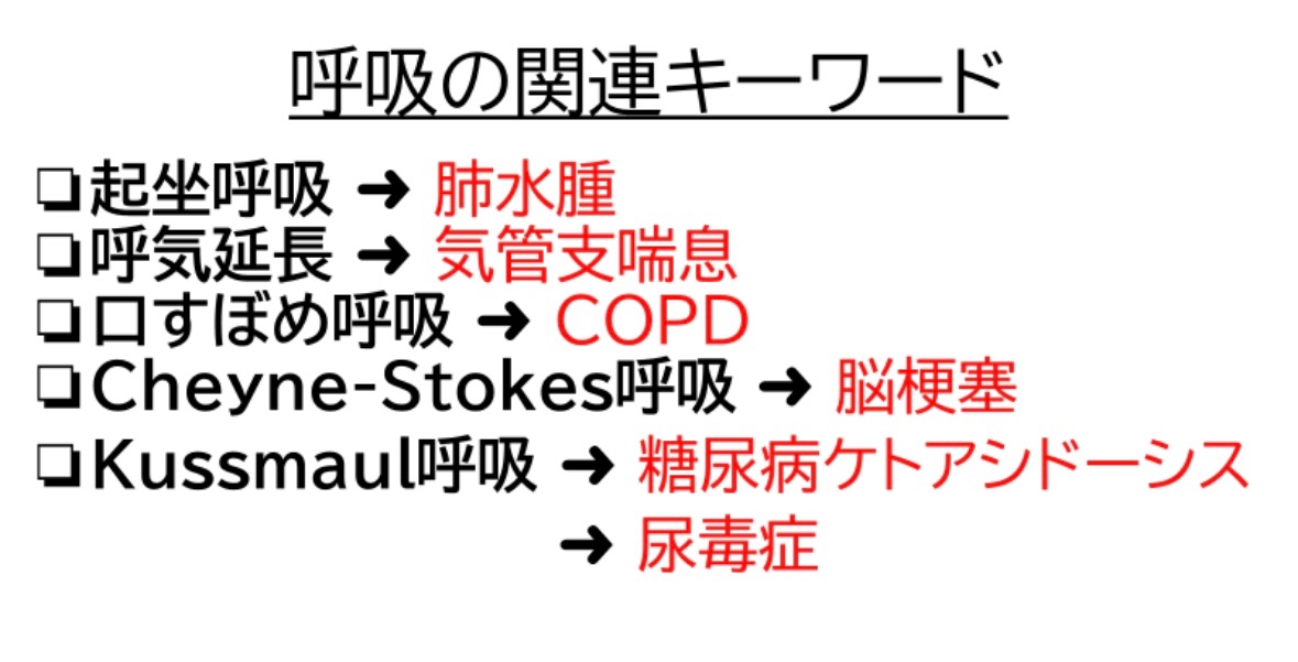 119回歯科医師国家試験対策 ロムニーハウス勉強会【講師 Dr.N