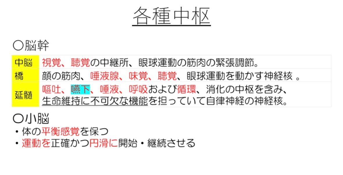 119回歯科医師国家試験対策 ロムニーハウス勉強会【講師 Dr.N
