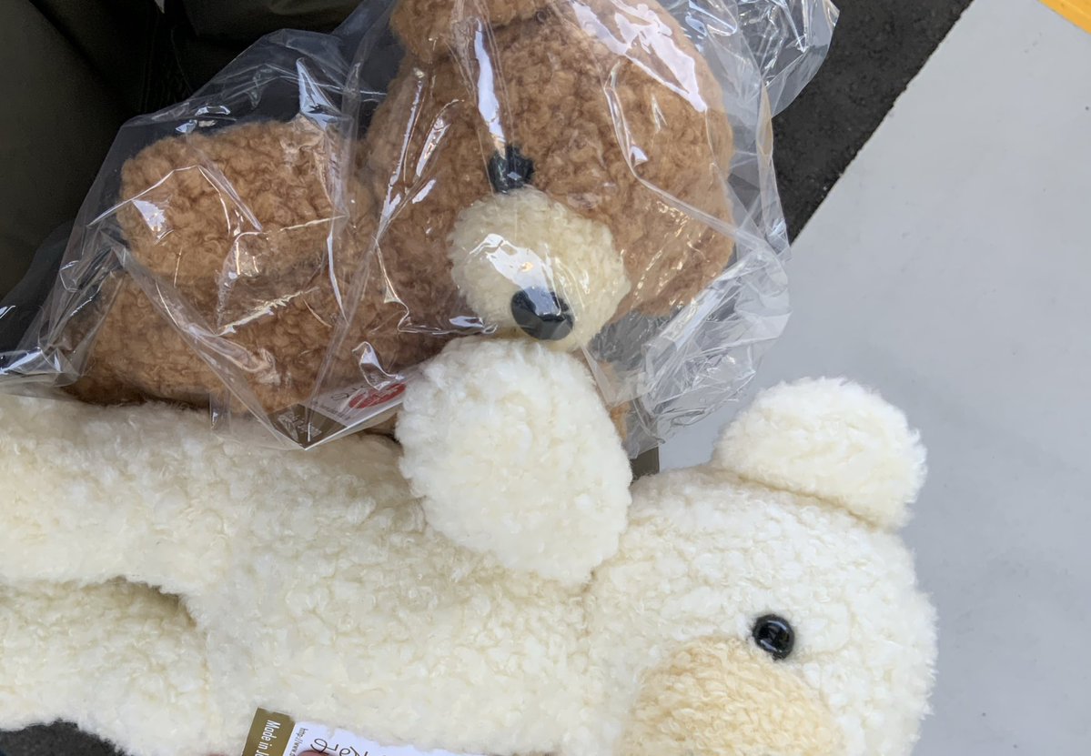 ぬいぐるみの童心【公式】🥺 (@Dousin_kawaii) / Posts / X