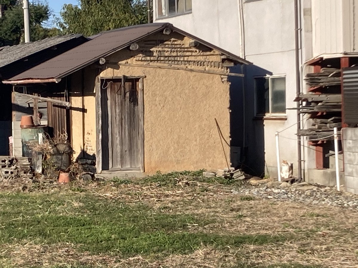 パノラマ堂 tweet media