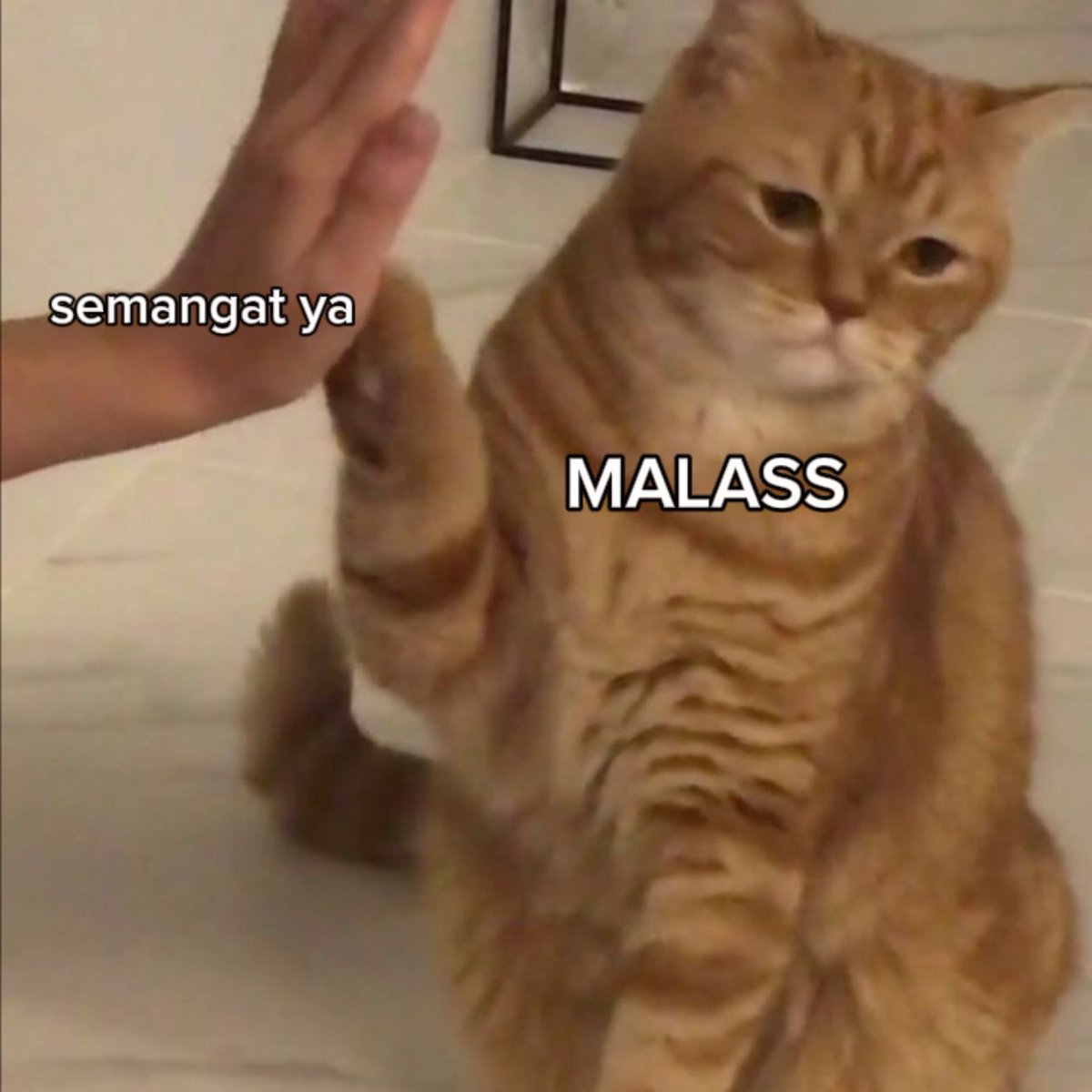 Santi_nya's tweet image. 