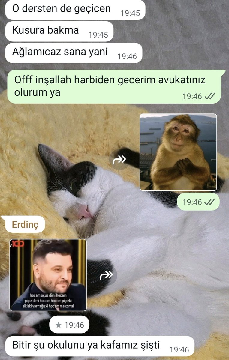 Mezun olmadan önce bi before verelim. Mezun olunca güncelleyeceğim artık kafanız şişmeyecek diyeceğim canim dostum her türlü kahrımı çekiyon sana minnettarım🥹🥹🥲