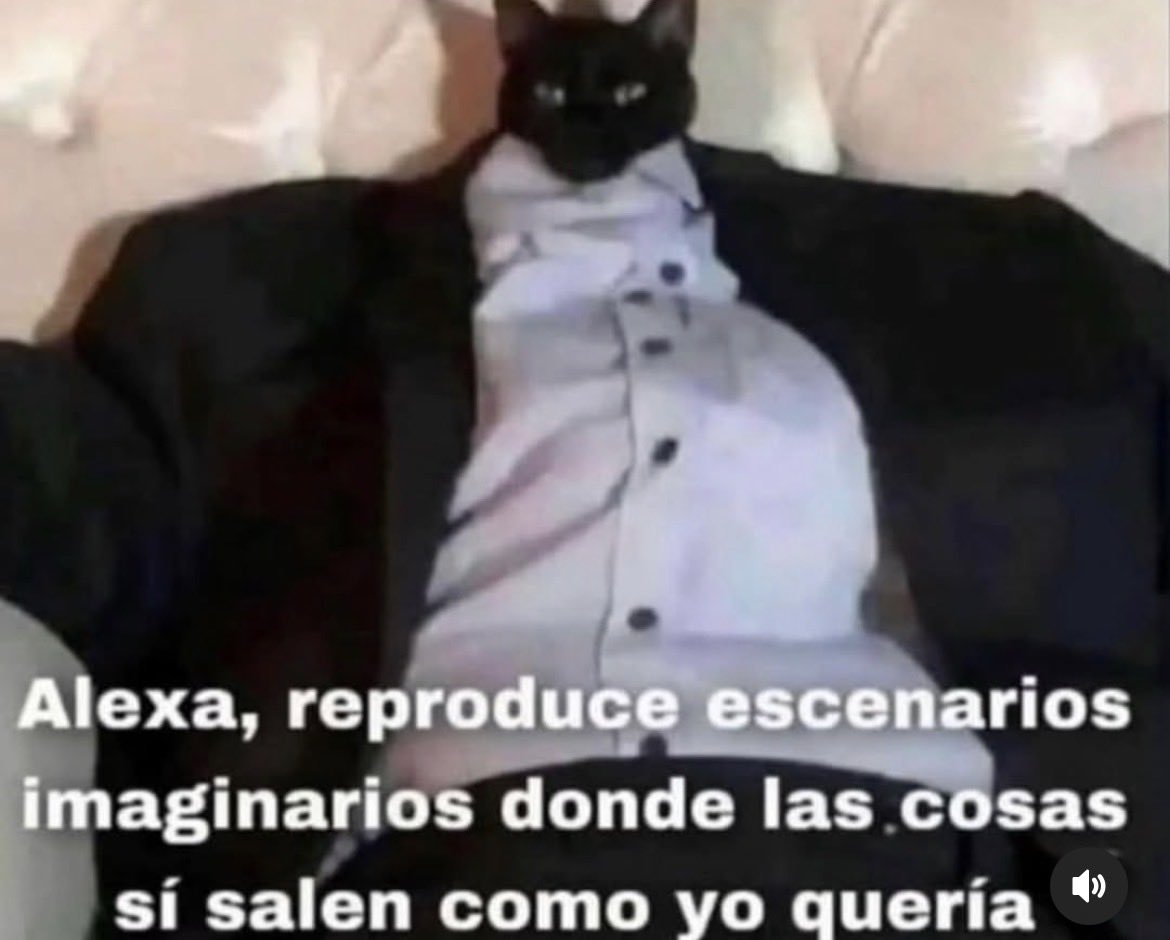 mini˚˚ ༘♡ ⋆｡ ♡ ⋆｡˚ ꕥ tweet media